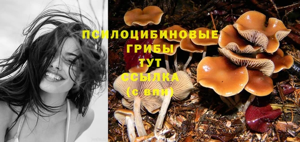 твердый Каменногорск
