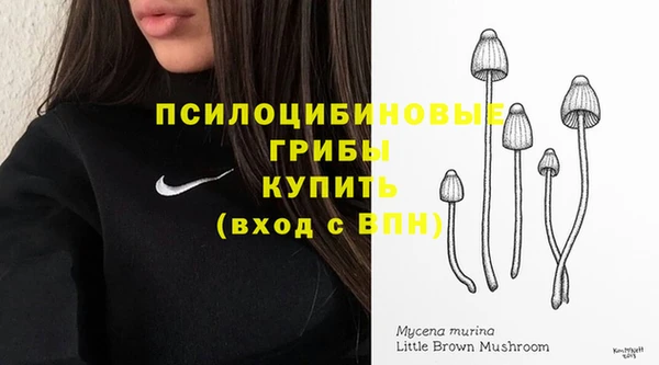 гидропоника Иннополис