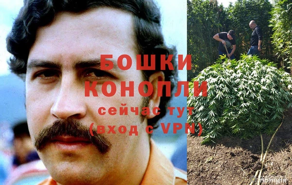 гашик Инсар