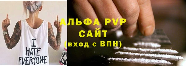 дурь Инта