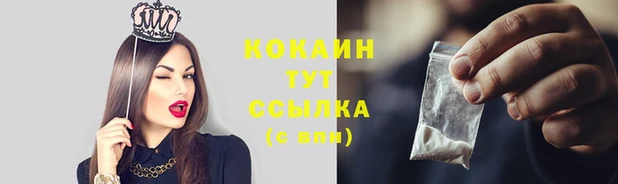 гидропоника Иннополис