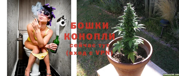 дурь Инта