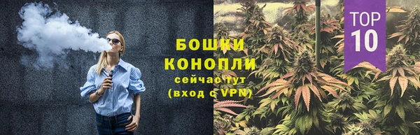 дурь Инта