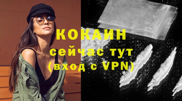 дурь Инта