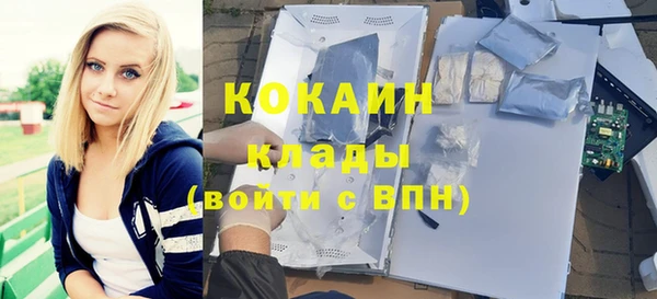 дурь Инта