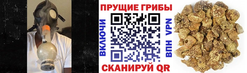 Купить где  Новомосковск  Псилоцибиновые грибы MAGIC MUSHROOMS
